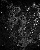 Nano Mister | Black Edition